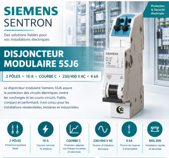 SIEMENS Disjoncteur miniature 5SJ6516-7KS 230 V