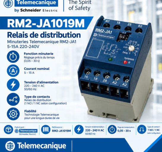 Minuteries Telemecanique RM2-JA1019M Relais de distribution RM2 JA1 5-15A 220-240V